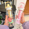 GROWSIR Botol Minum Anak 780ml Sedotan + Infuser Buah Anti Bocor Dengan Handle Tumbler Karakter Lucu BZ060