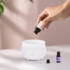 GROWSIR Diffuser Aroma Essential Oil Ultrasonic RGB | Humidifier Kabut Halus LED Aesthetic FS044