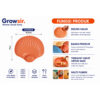GROWSIR Piring Kerang Aesthetic Wheat Straw Plate Wadah Saji Buah & Snack PZ002