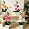 GROWSIR Pot Bunga Anggrek Aesthetic Artificial Phalaenopsis | Tanaman Hias Plastik Dekorasi Rumah Kantor Kamar TH031