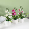 GROWSIR Pot Bunga Anggrek Aesthetic Artificial Phalaenopsis | Tanaman Hias Plastik Dekorasi Rumah Kantor Kamar TH031