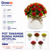 GROWSIR Pot Bunga Mawar Aesthetic Artificial 12x11cm | Tanaman Hias Plastik Realistis Dekorasi Rumah Meja Estetik TH042