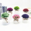 GROWSIR Pot Tanaman Artificial Bola Rumput Setengah Lingkaran | Tanaman Hias Mini Plastik Dekorasi Meja Rumah Aesthetic TH041