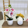 GROWSIR Pot Tanaman Bunga Anggrek Artificial Mini | Bunga Anggrek Plastik Phalaenopsis Dekorasi Rumah Aesthetic TH030