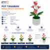 GROWSIR Pot Tanaman Bunga Melati Artificial Mini | Bunga Melati Plastik Tanaman Hias Dekorasi Meja Rumah TH044