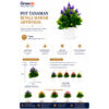 GROWSIR Pot Tanaman Conifer Cone Plastik Aesthetic Vas Bunga Hias Artificial Estetik TH027