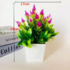 GROWSIR Pot Tanaman Conifer Cone Plastik Aesthetic Vas Bunga Hias Artificial Estetik TH027