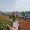 GROWSIR Tanaman Hias Artificial Pot Mini Plastik Aesthetic Buah Jeruk Delima Cabai Dekorasi Rumah Estetik TH018