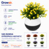 GROWSIR Vas Bunga Gypsophila Aesthetic Plastik Pot Tanaman Hias Artificial Estetik Hiasan Rumah Elegan TH012