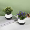 GROWSIR Vas Bunga Gypsophila Aesthetic Plastik Pot Tanaman Hias Artificial Estetik Hiasan Rumah Elegan TH012
