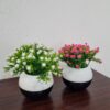 GROWSIR Vas Bunga Gypsophila Aesthetic Plastik Pot Tanaman Hias Artificial Estetik Hiasan Rumah Elegan TH012