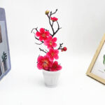 Fuschia