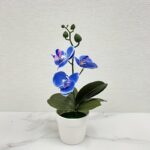 Biru