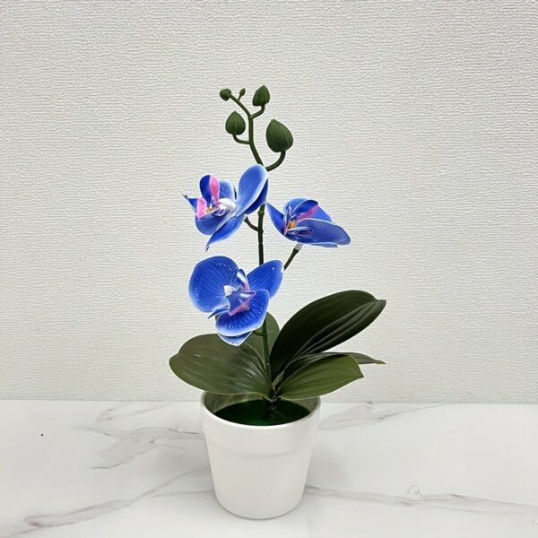 Biru