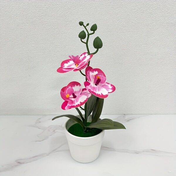 Fuschia Putih