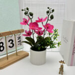 Fuschia